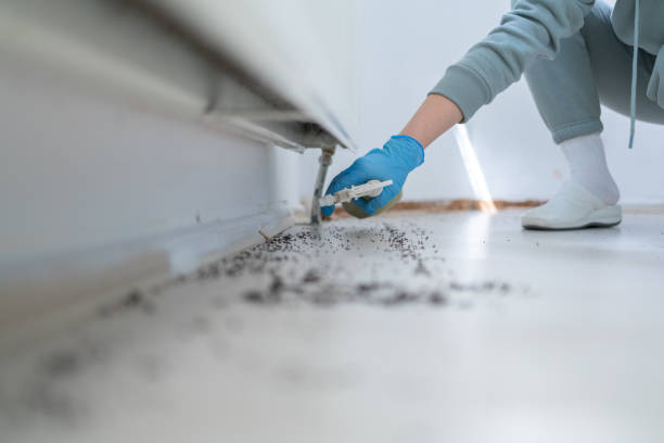 Best Pest Prevention Services  in USA